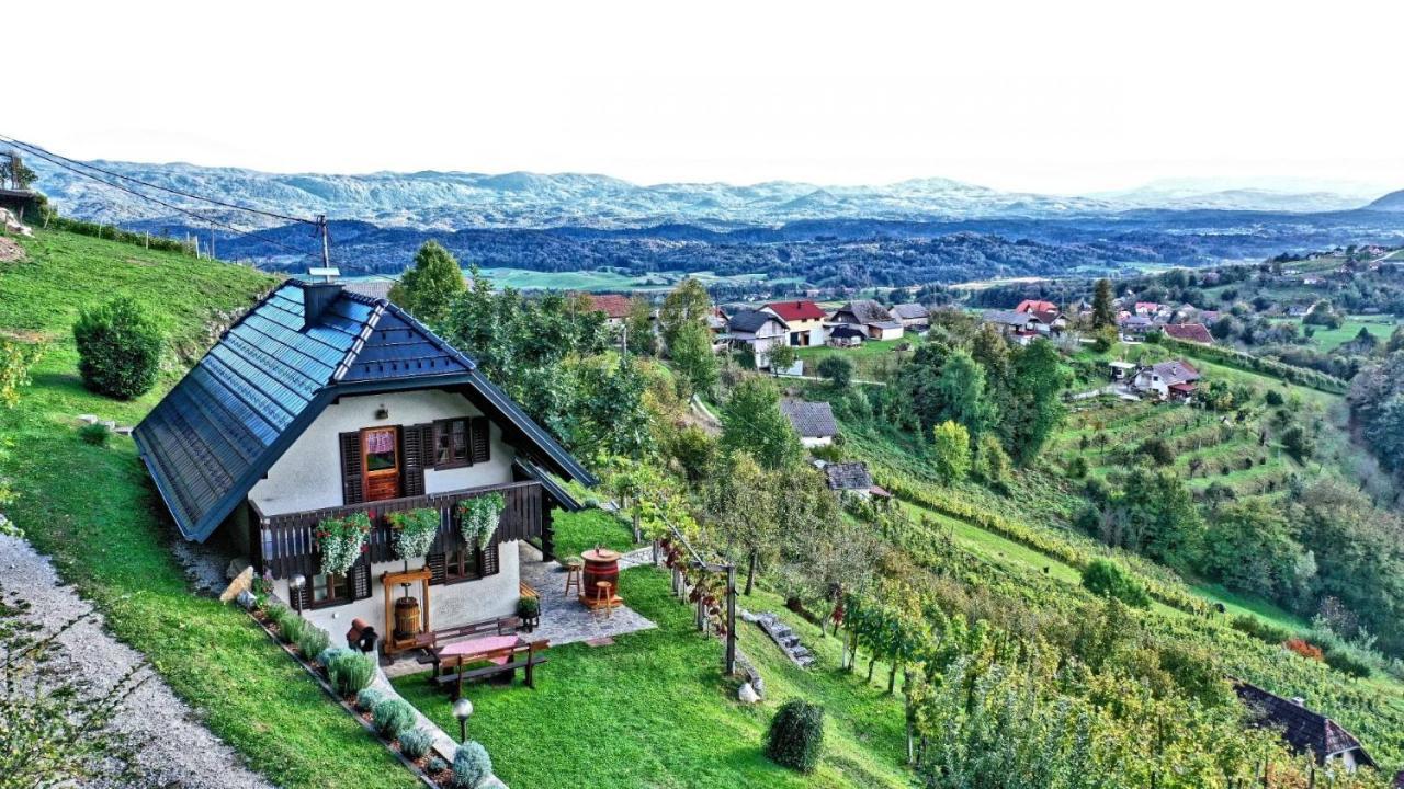 Vineyard Cottage Podrzaj Otočec Exterior foto